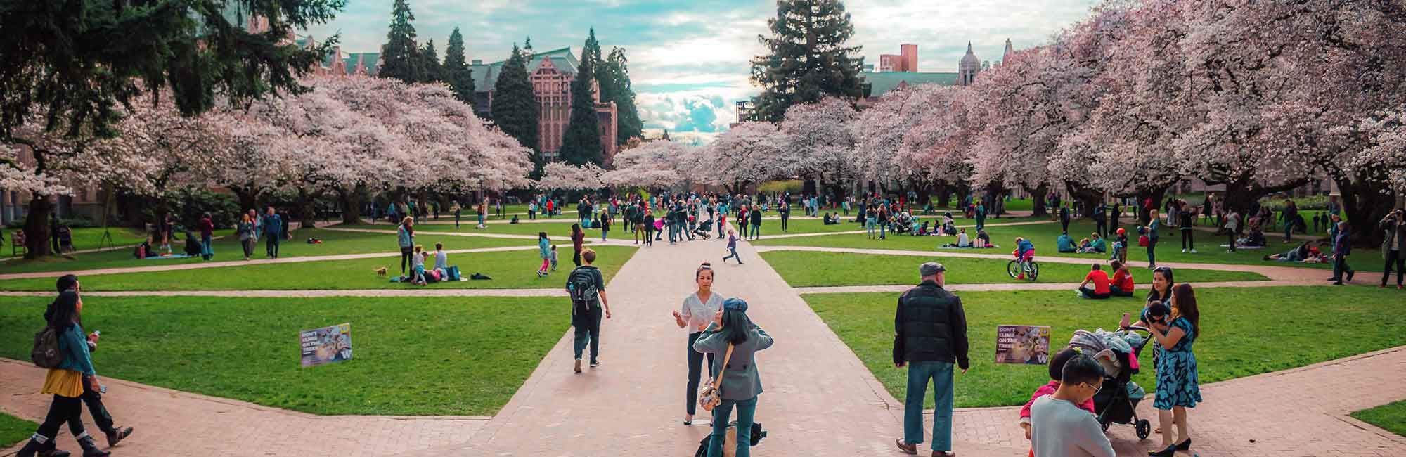 park kampusu uniwersyteckiego ze studentami