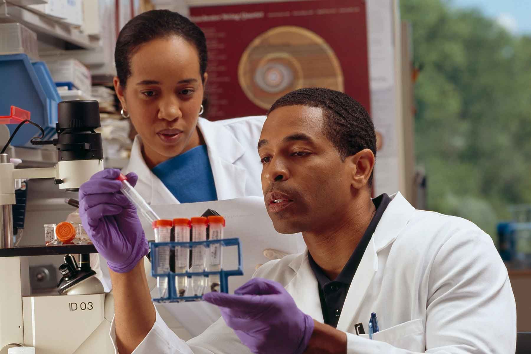 studenci sprawdzają probówki w laboratorium chemicznym