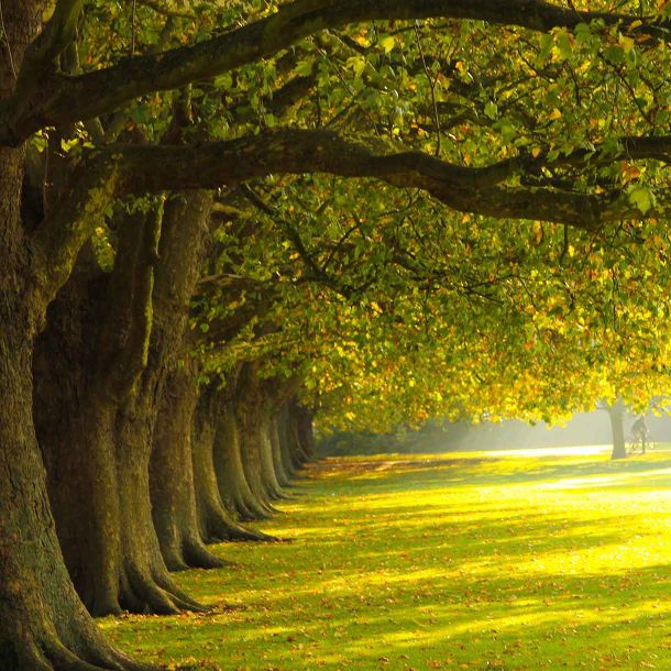 skwer parkowy w centrum uczelni