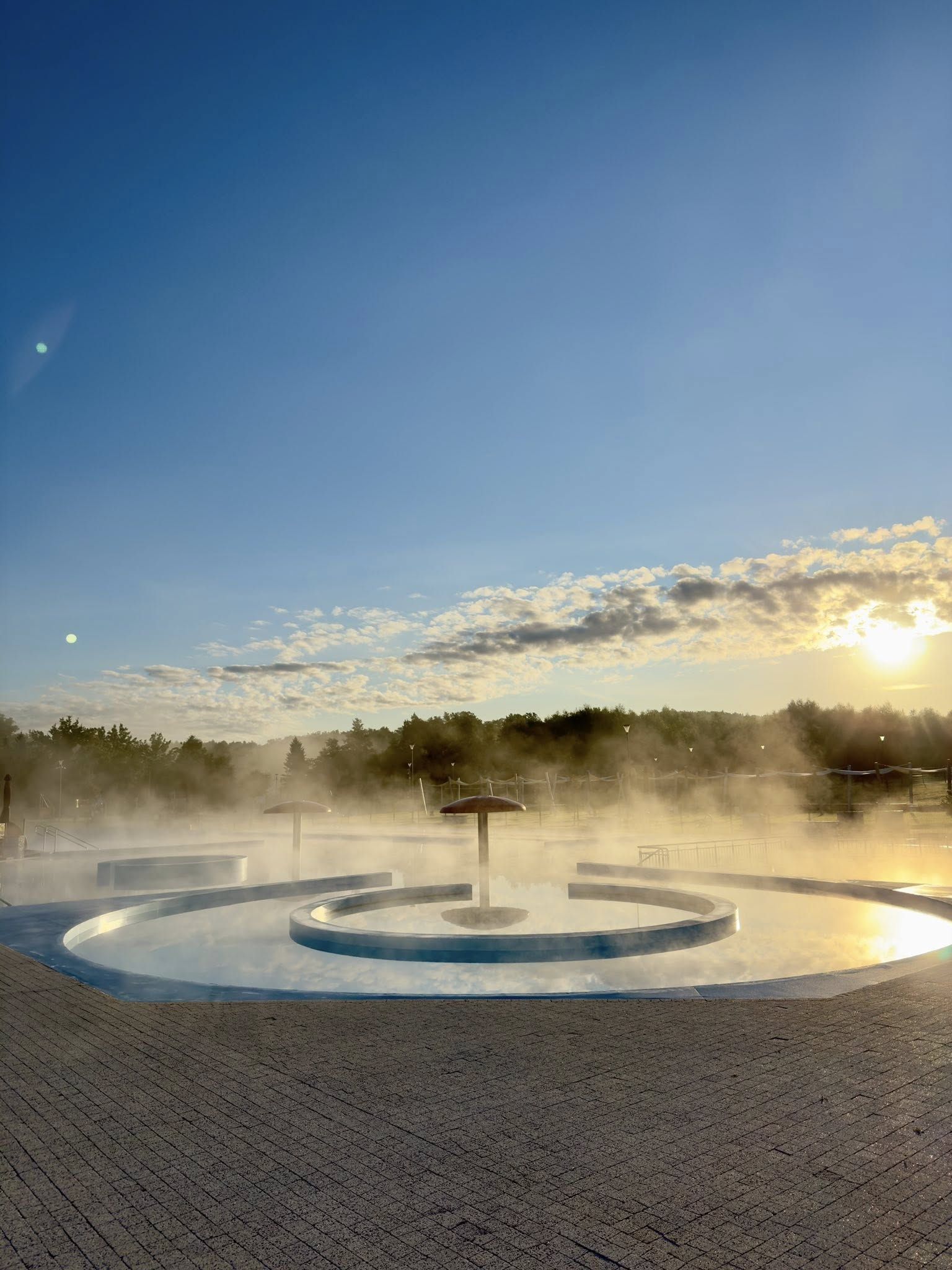 old library with statues of presidents